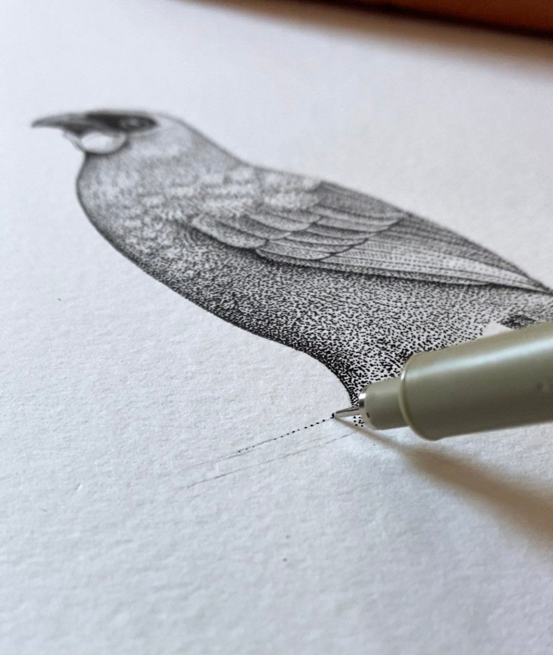 Kōkako (Original)