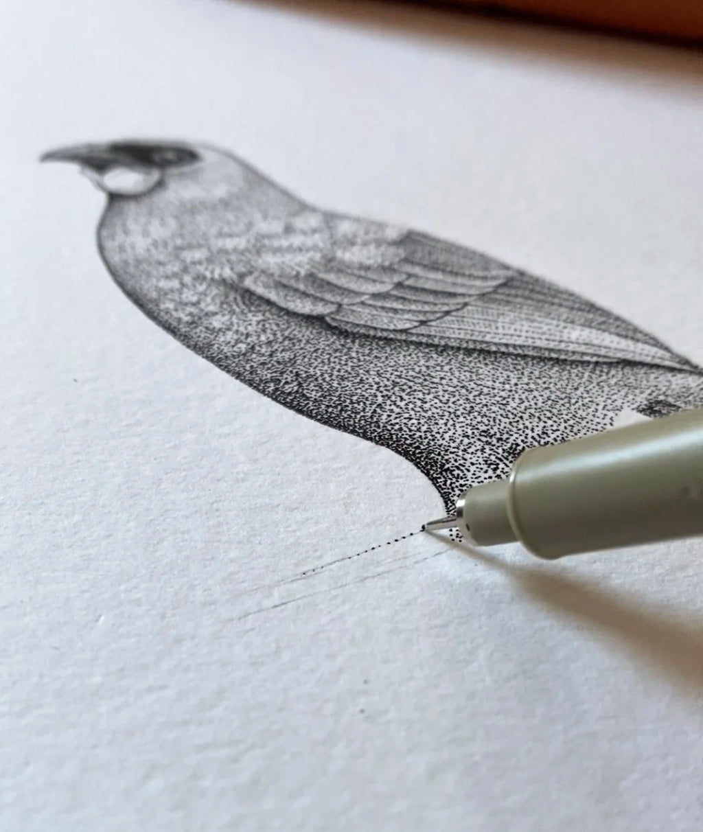 Kōkako