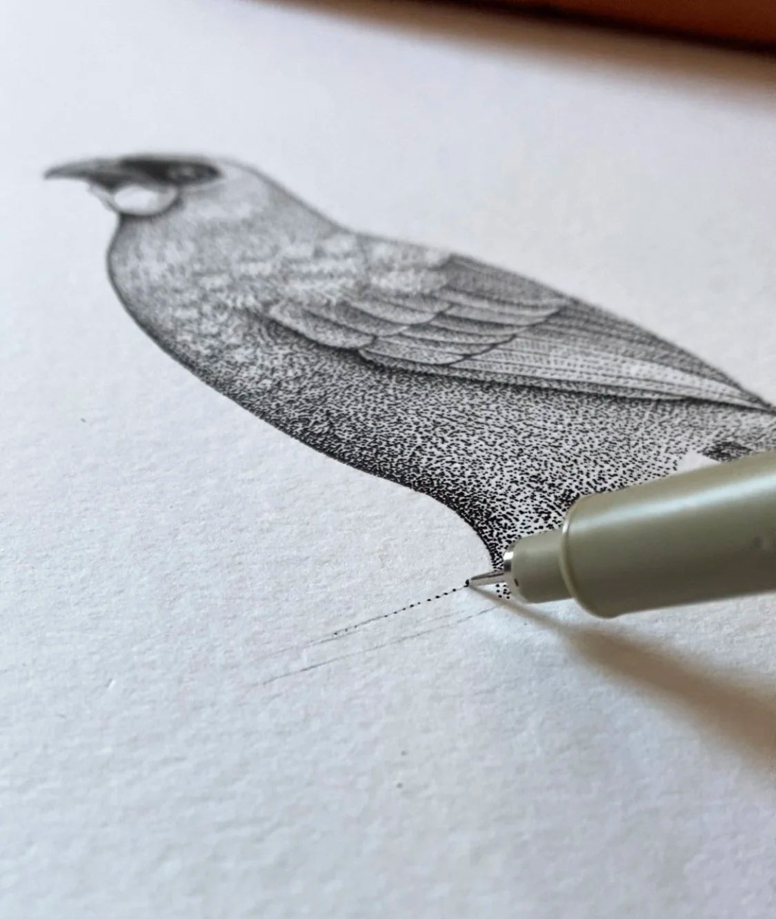 Kōkako