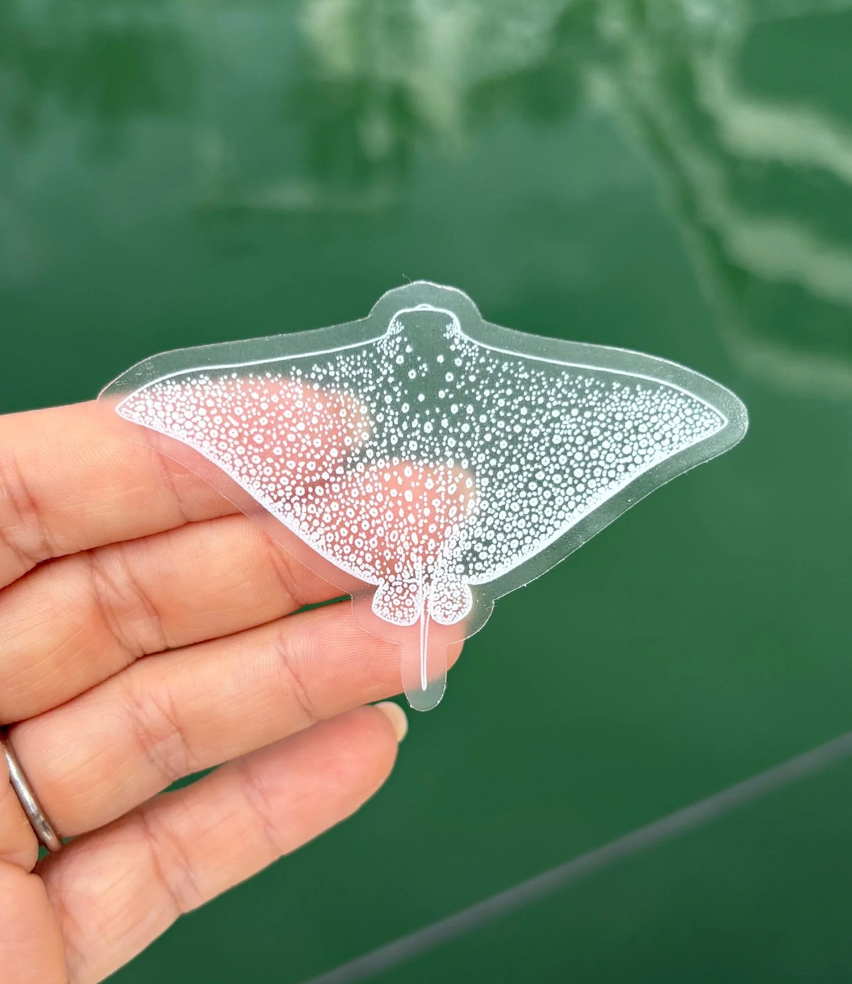 Sting Ray Sticker