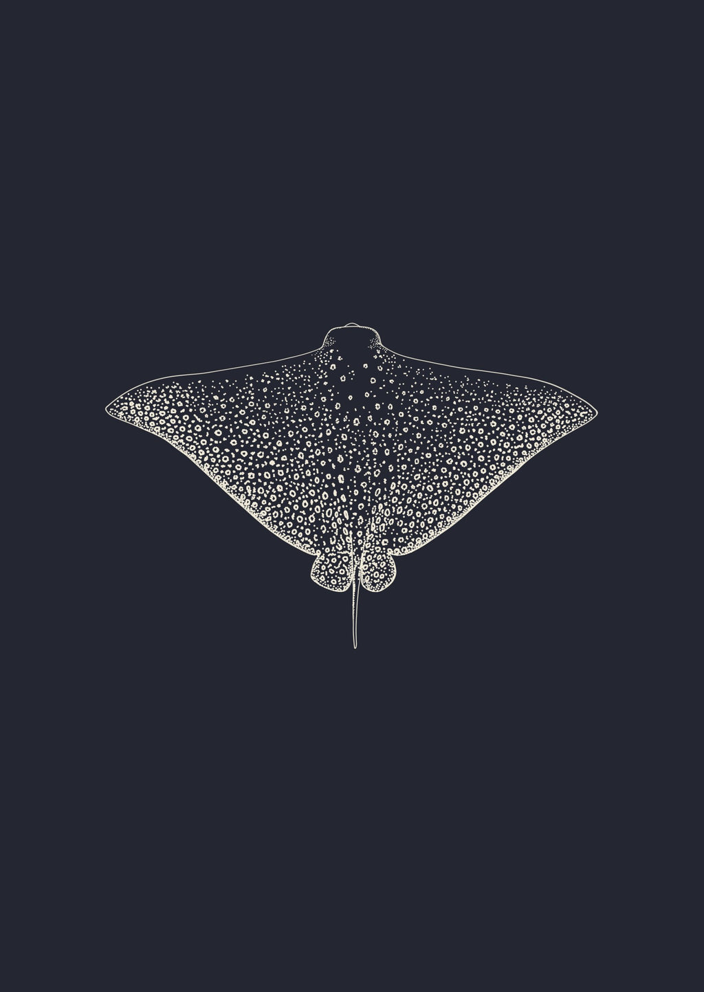 Eagle Ray