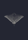Eagle Ray
