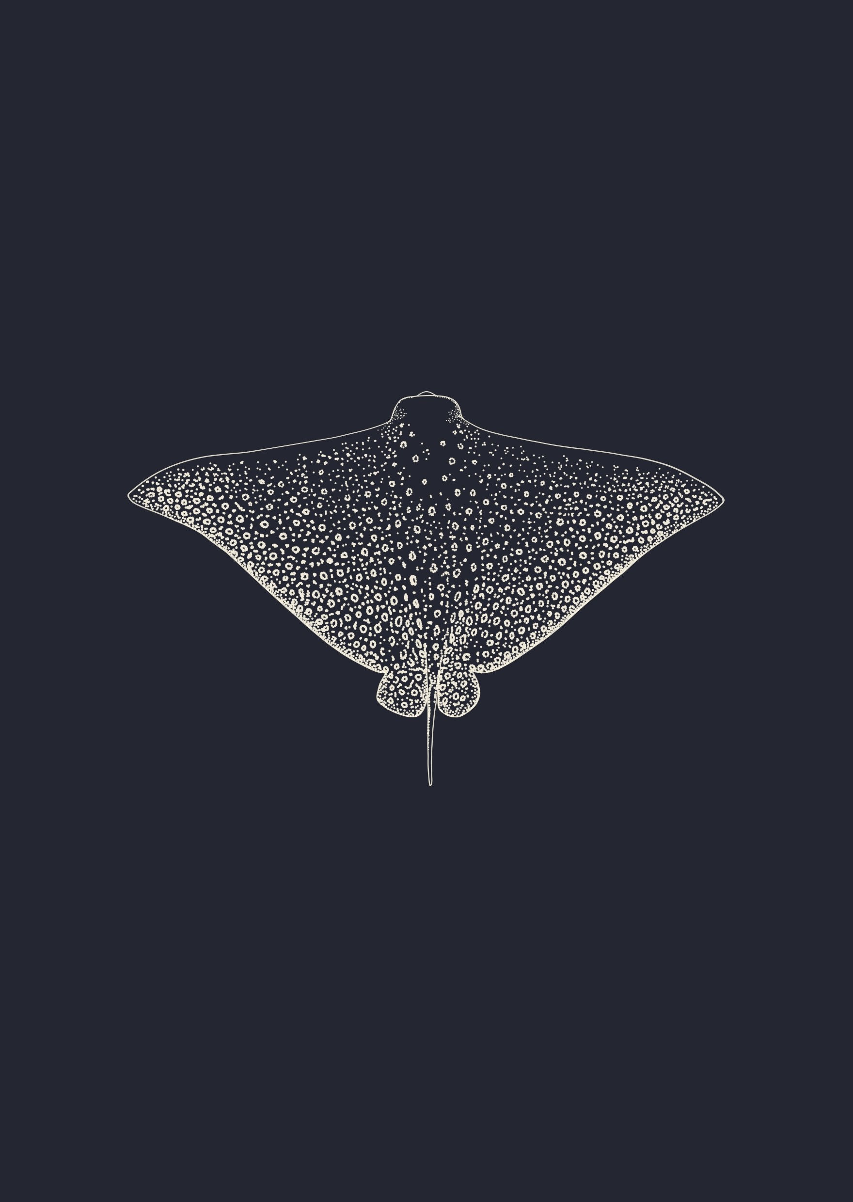 Eagle Ray