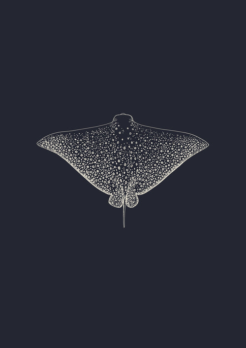 Eagle Ray