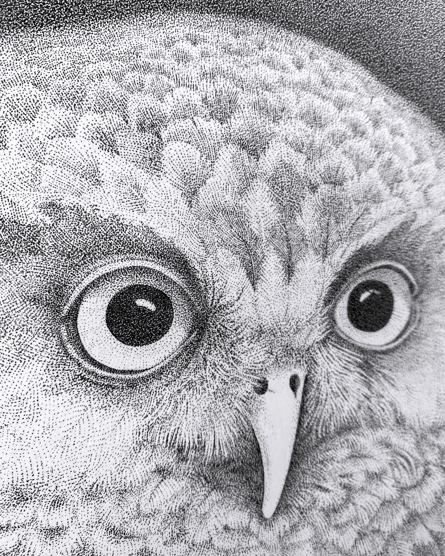 Guardian Owl (Original)