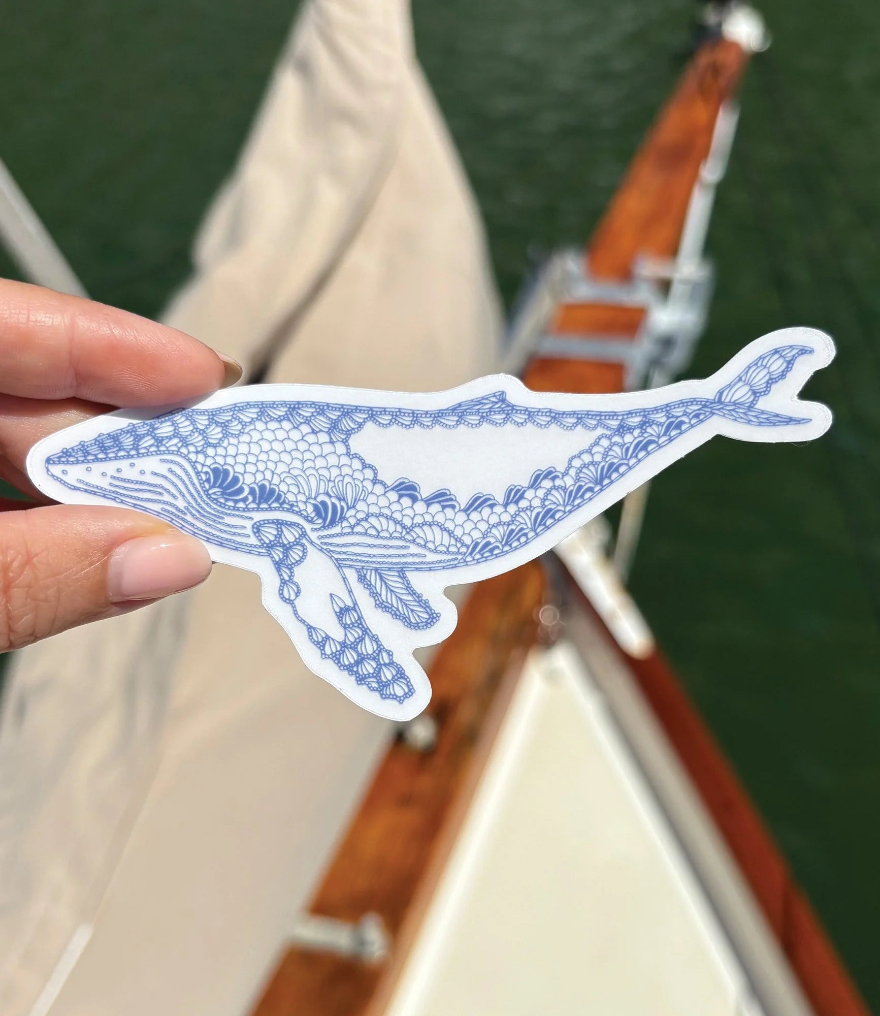 Humpback Whale Sticker