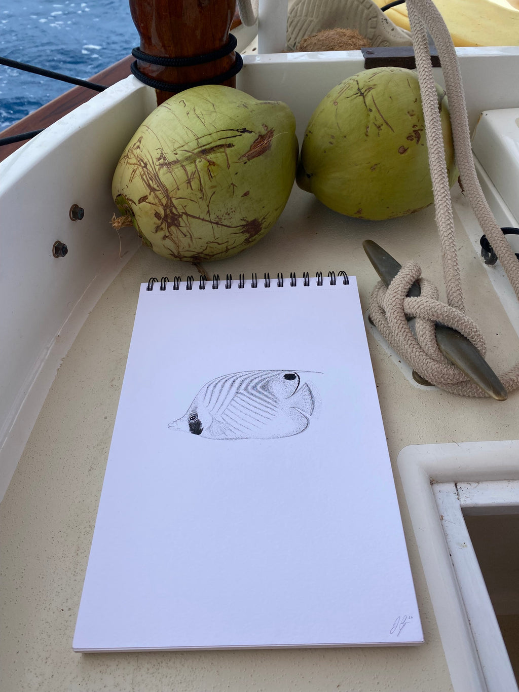 Butterflyfish (Original)
