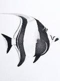 Moorish Idol (Original)