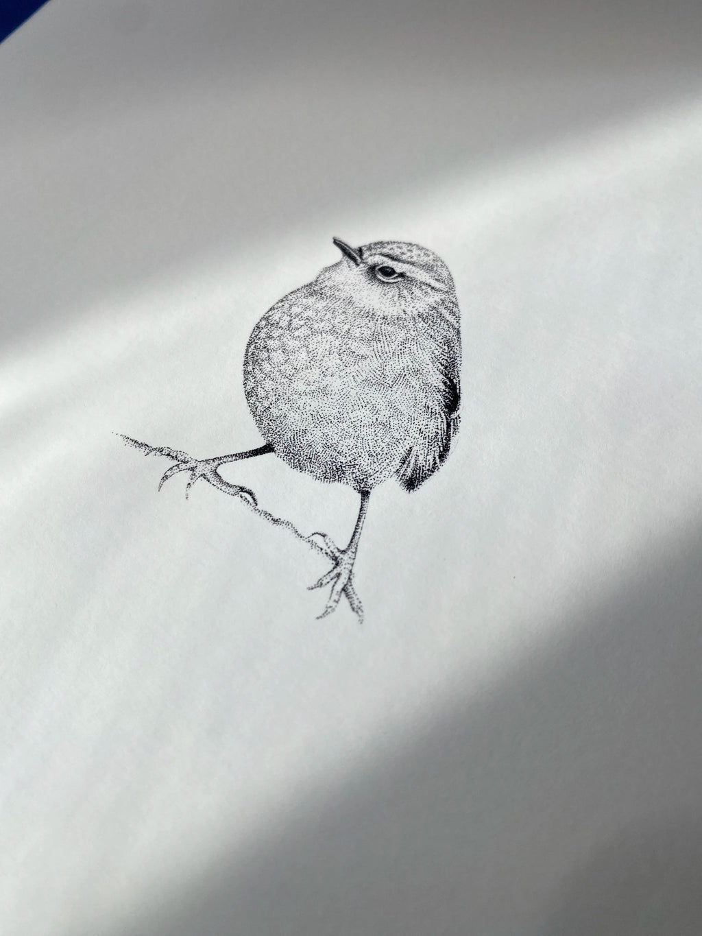 Rock Wren (Original)