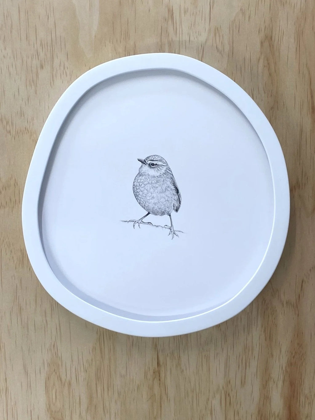 Rock Wren (Original)