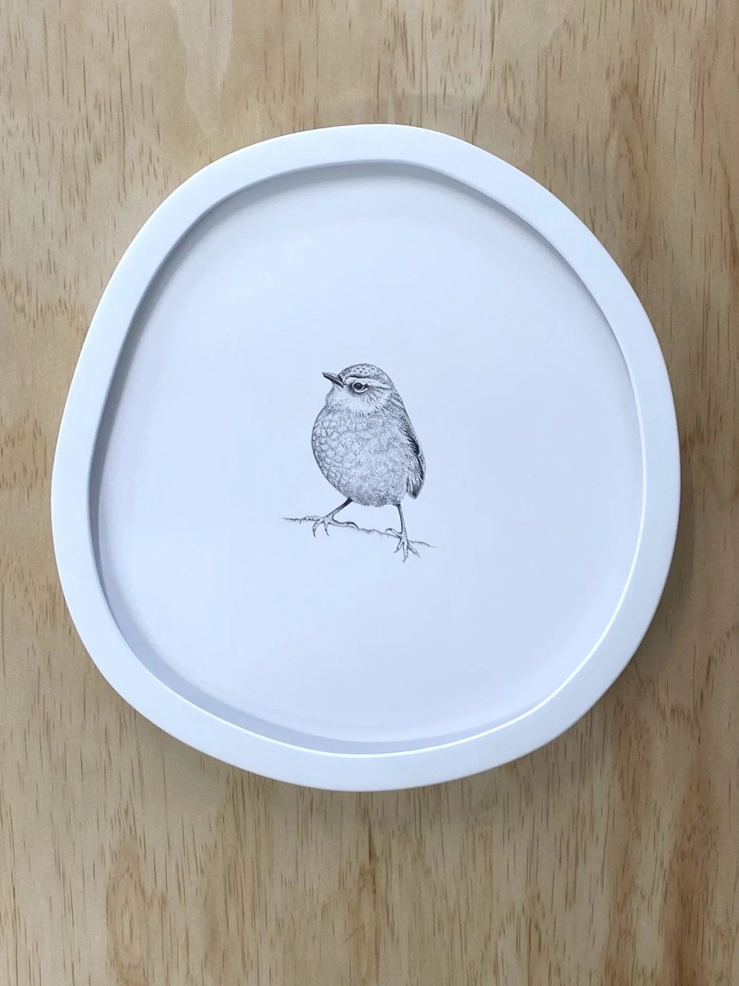 Rock Wren (Original)