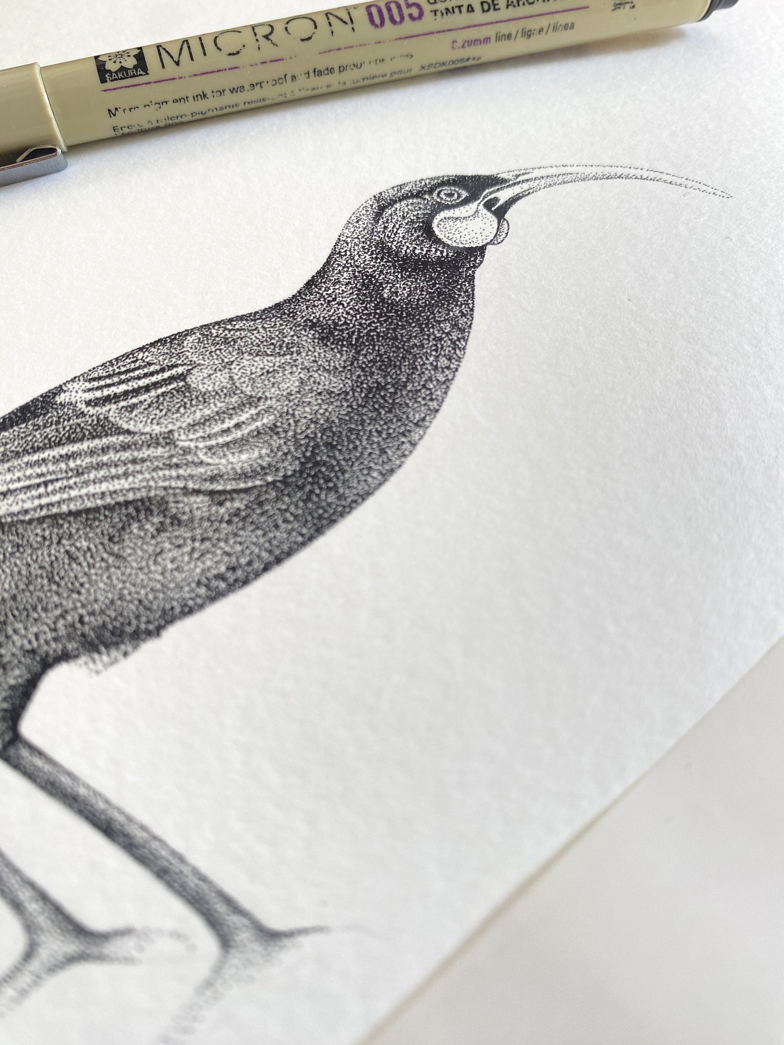 Huia