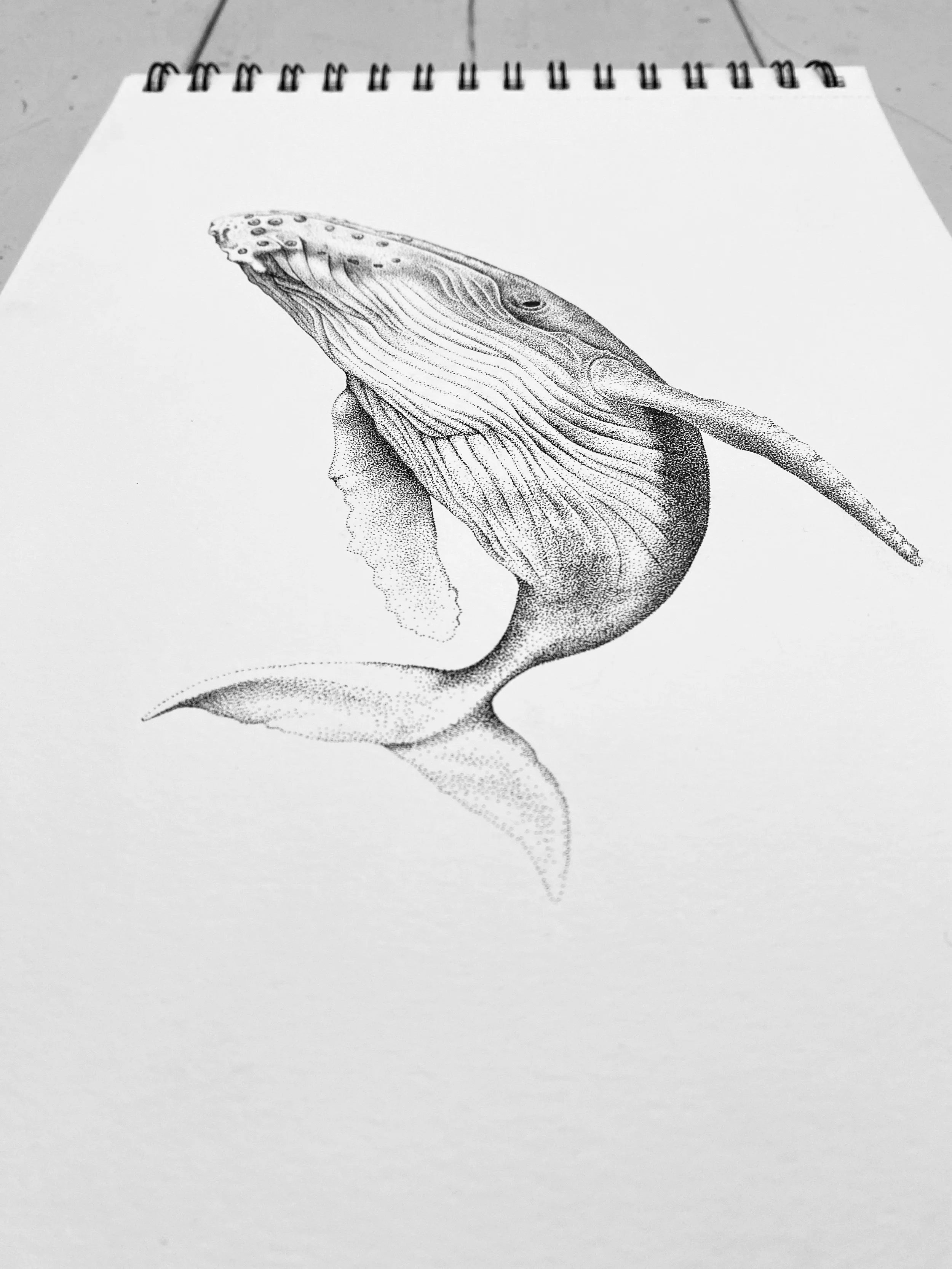 Paikea (Original)