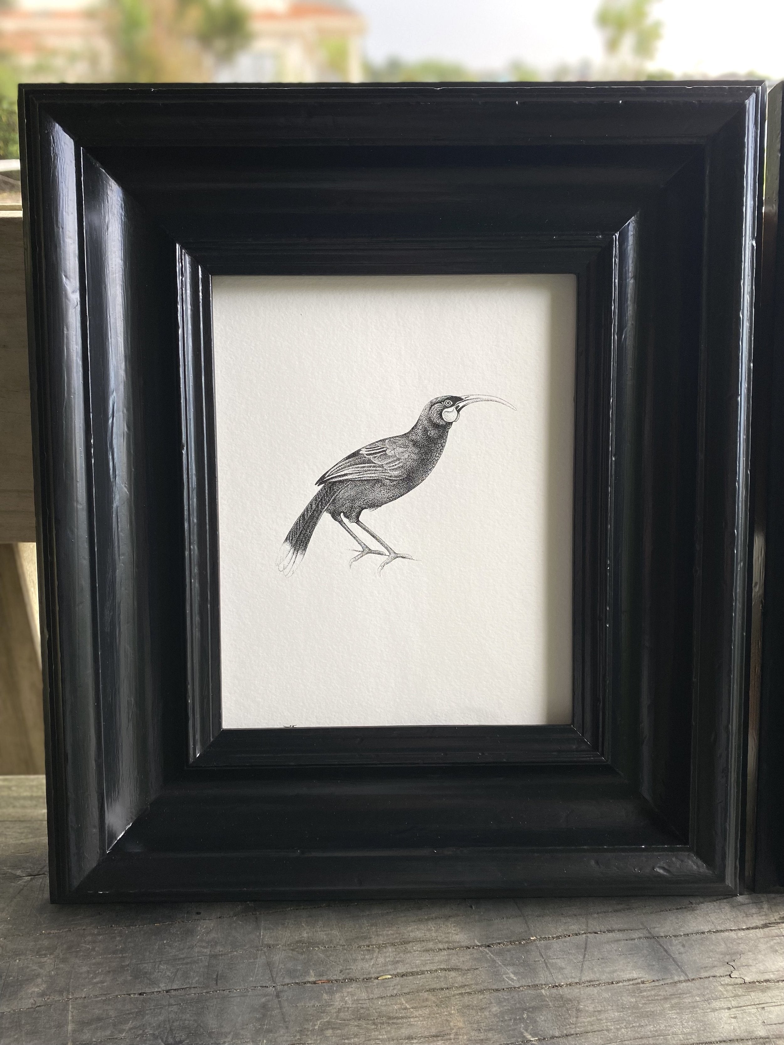 Huia (Original)
