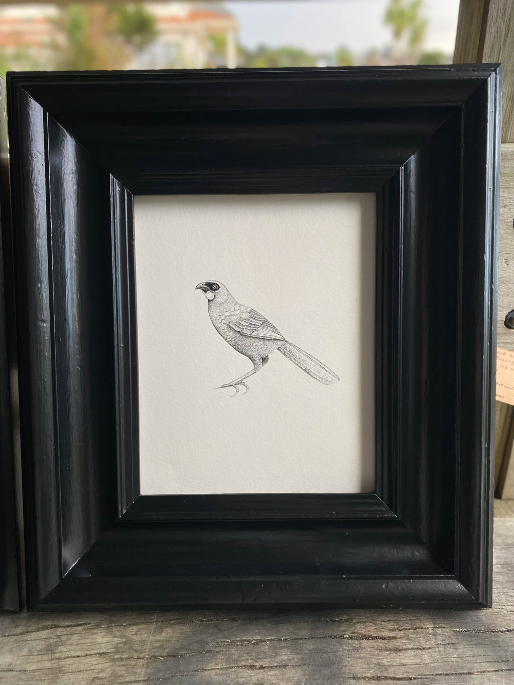 Kōkako (Original)