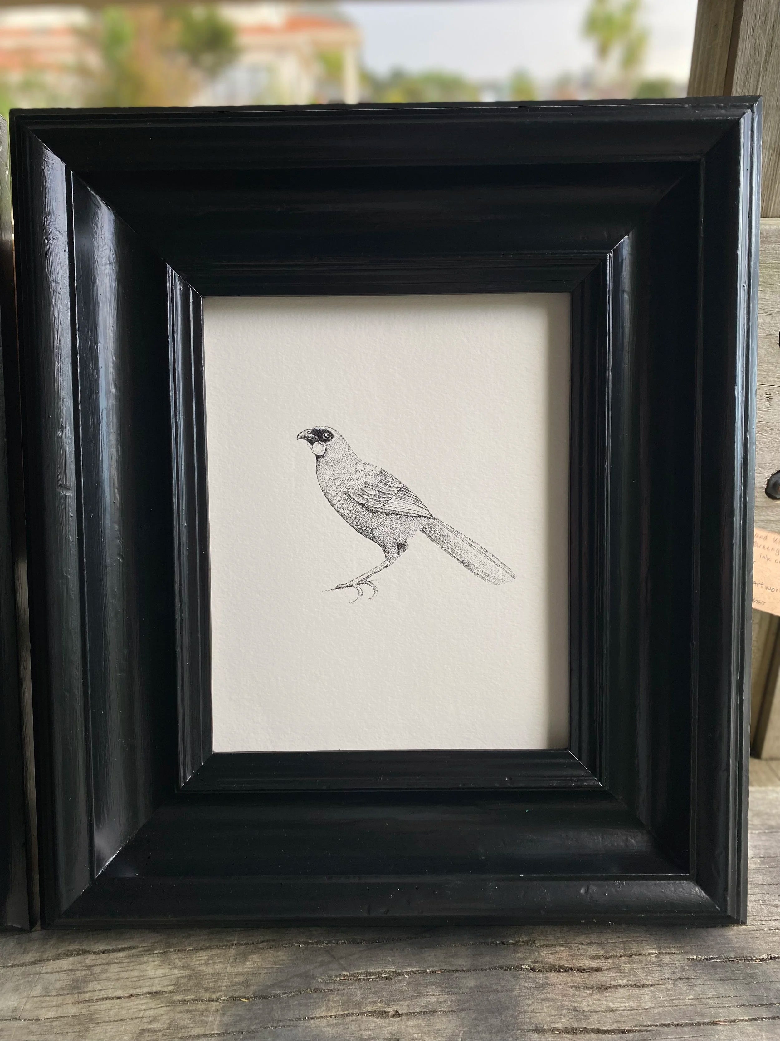 Kōkako (Original)