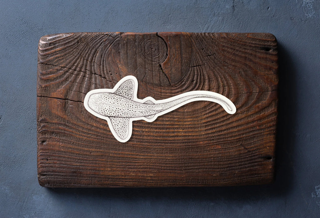 Leopard Shark Sticker
