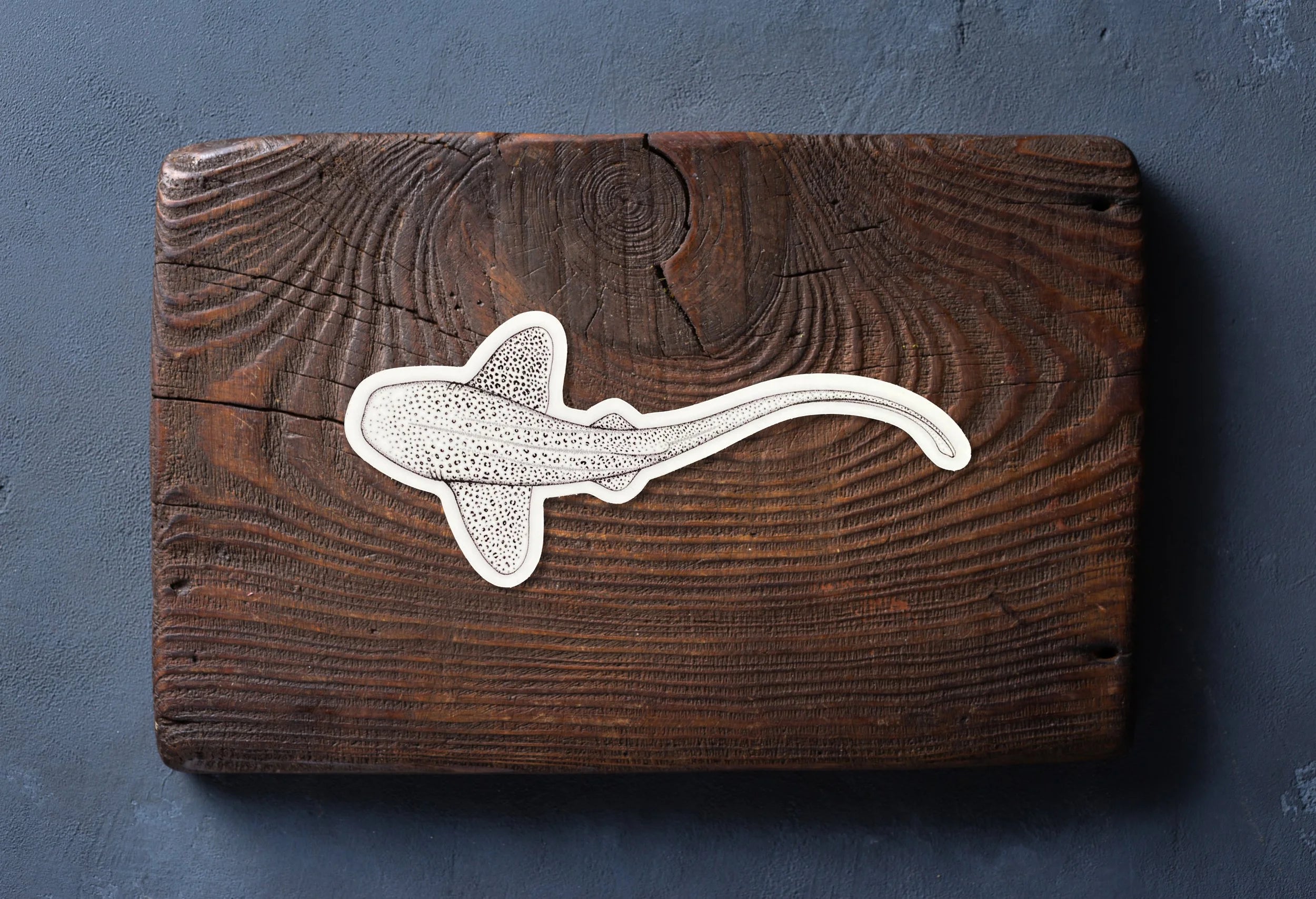 Leopard Shark Sticker