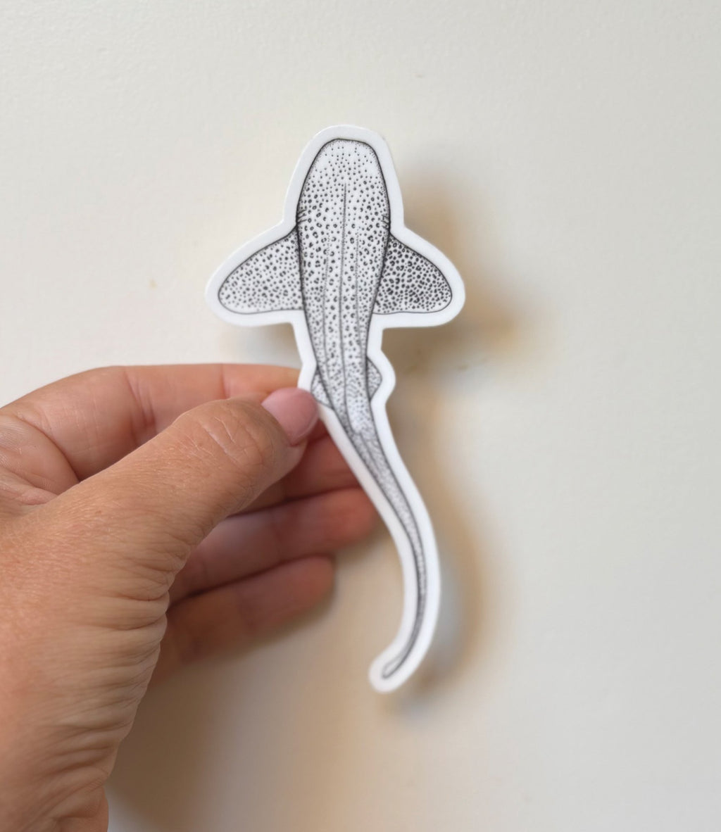 Leopard Shark Sticker