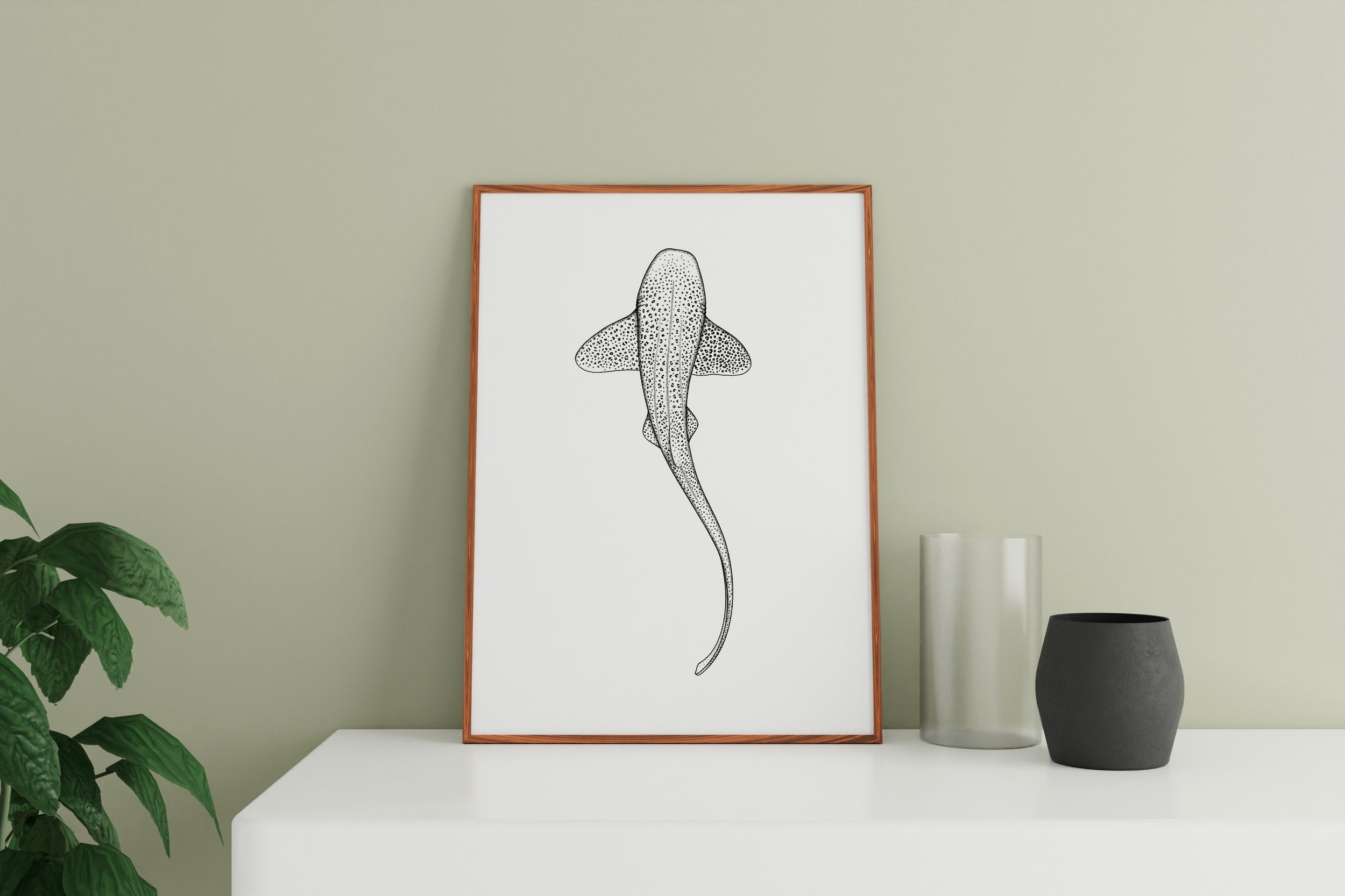 Leopard Shark