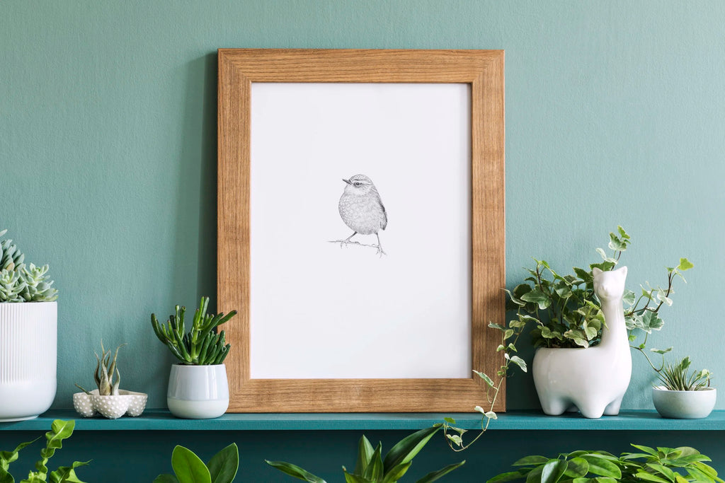 Rock Wren | Pīwauwau
