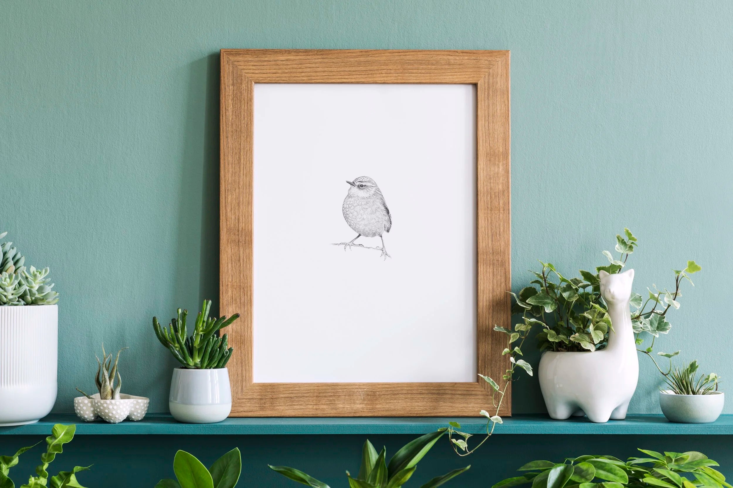 Rock Wren | Pīwauwau