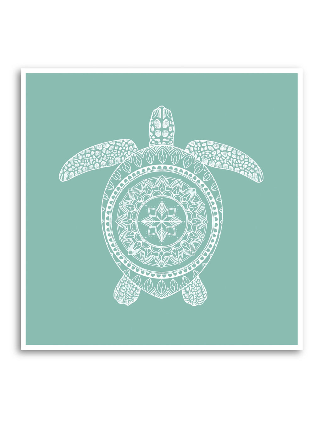 Turquoise and white sea turtle print with mandala pattern on its shell