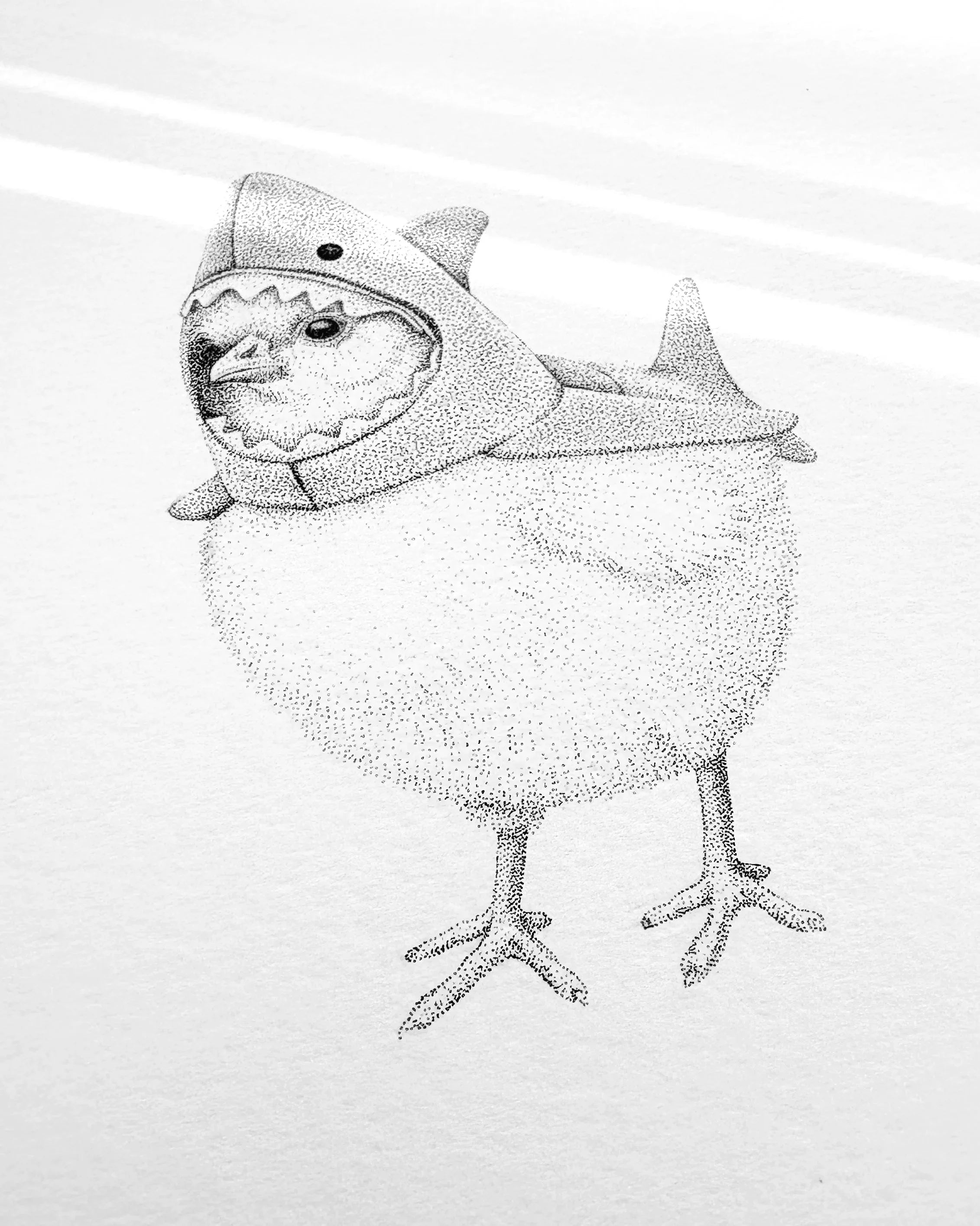 Jaws
