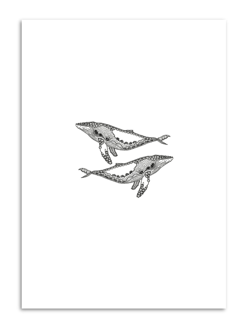 Humpbacks Print