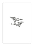 Humpbacks Print