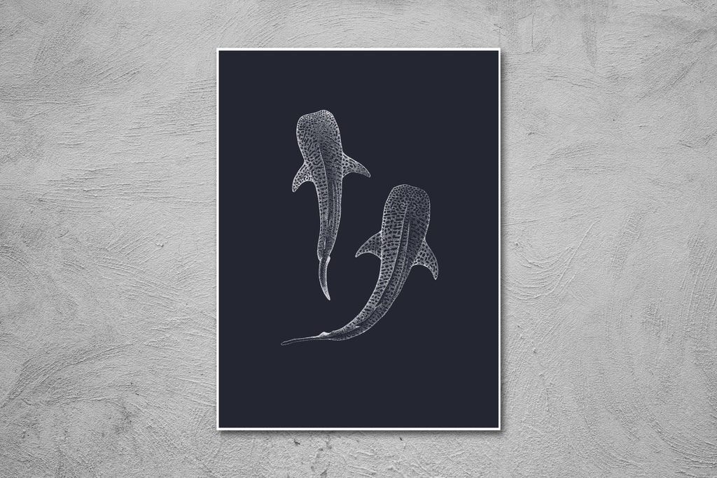 Whale Sharks
