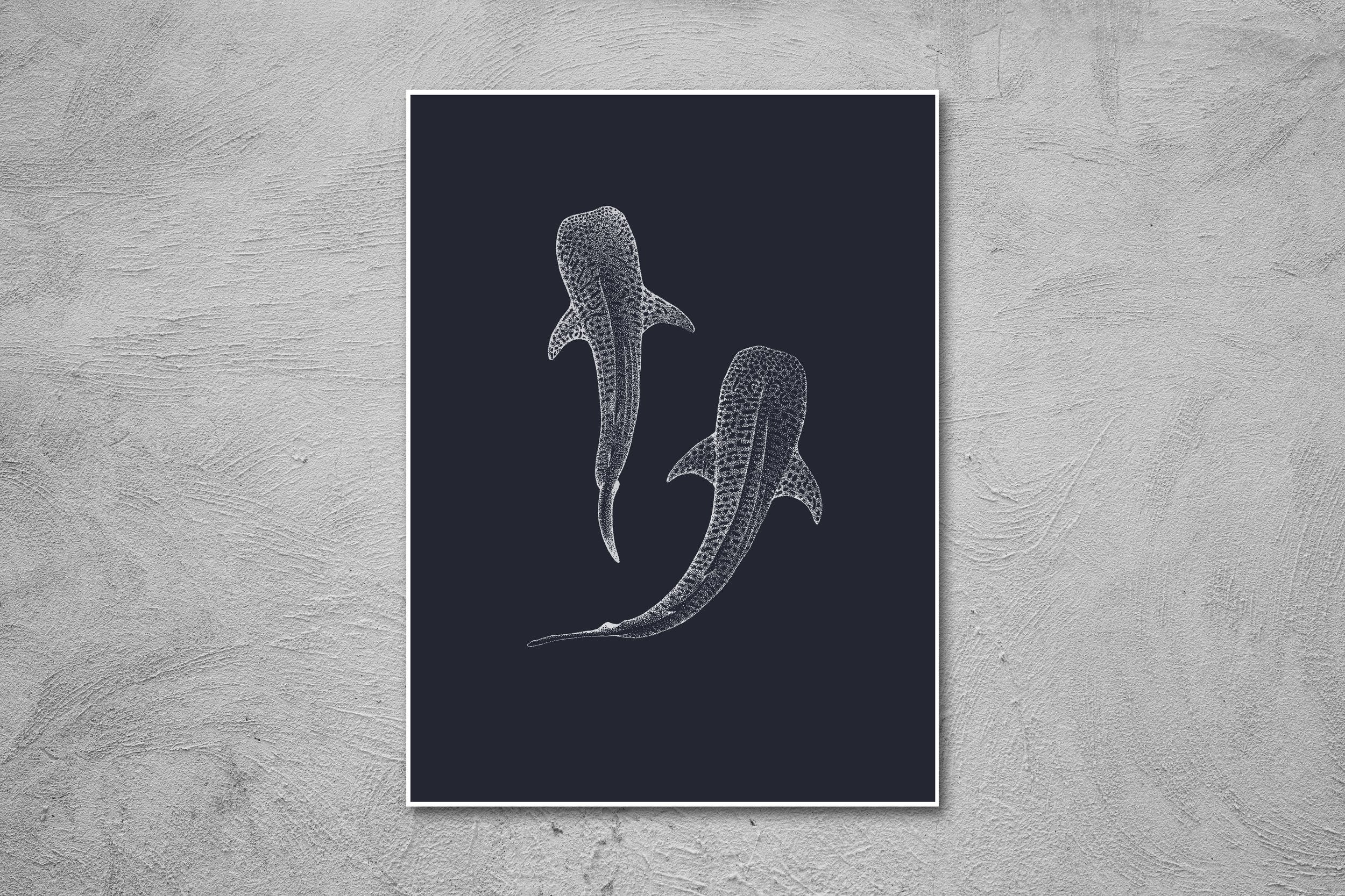 Whale Sharks