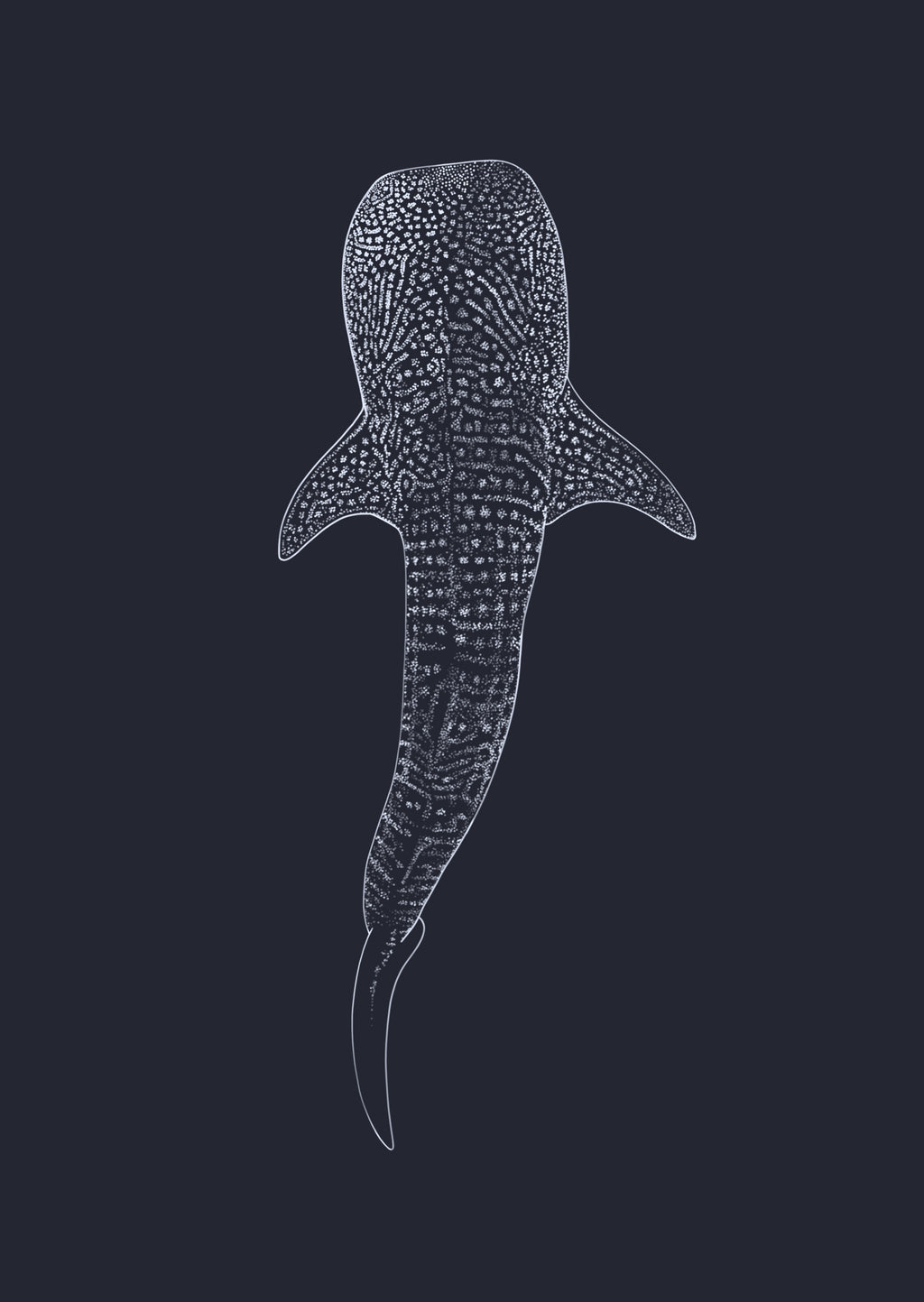 Whale Shark