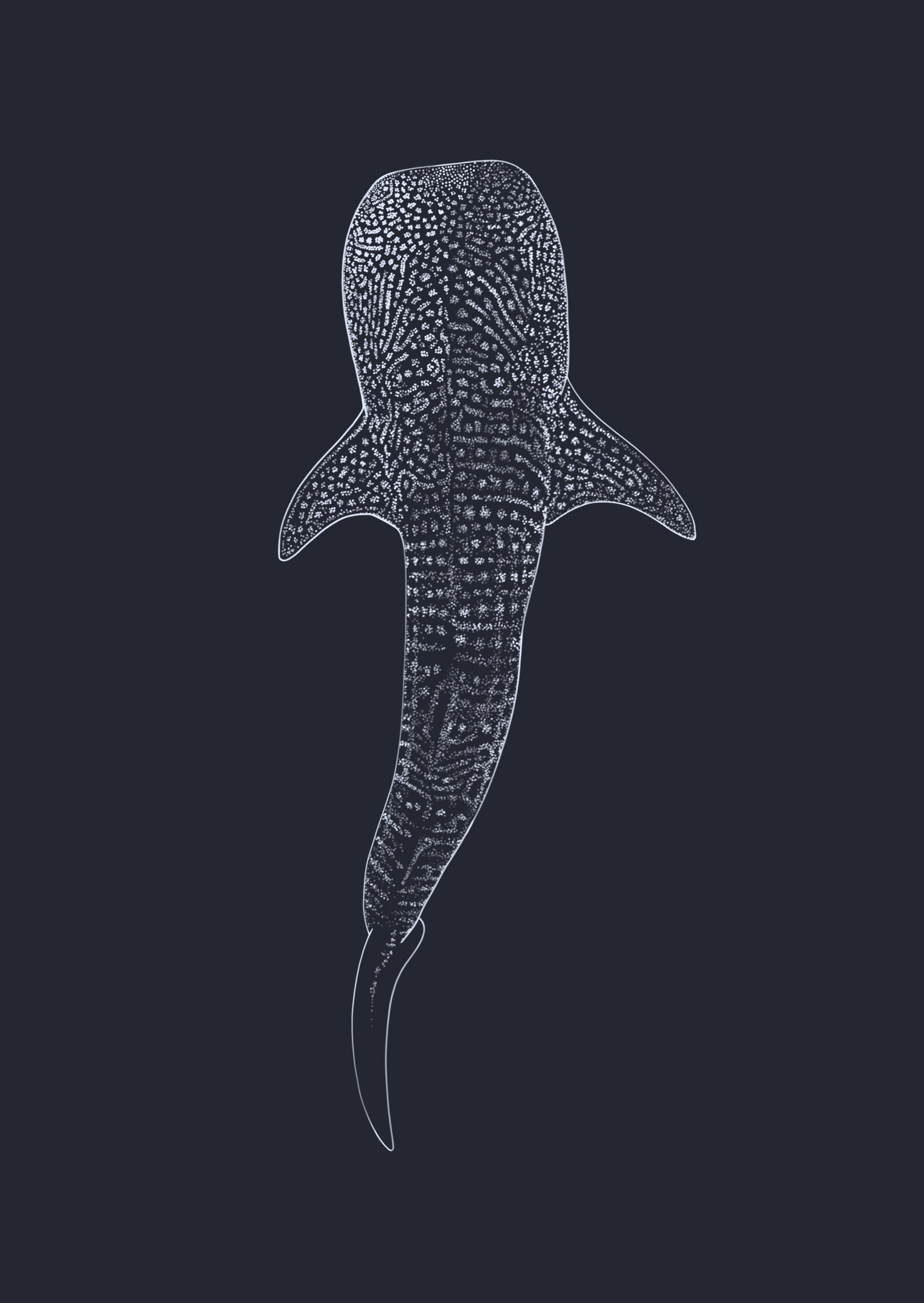Whale Shark