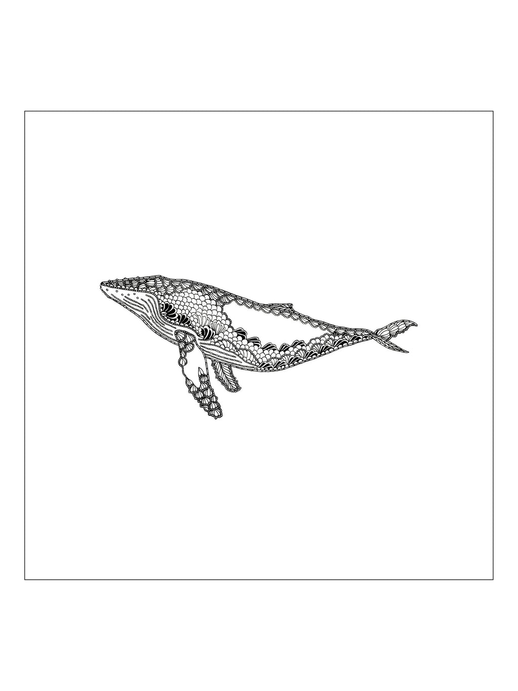 Animal Minis - Set of Prints