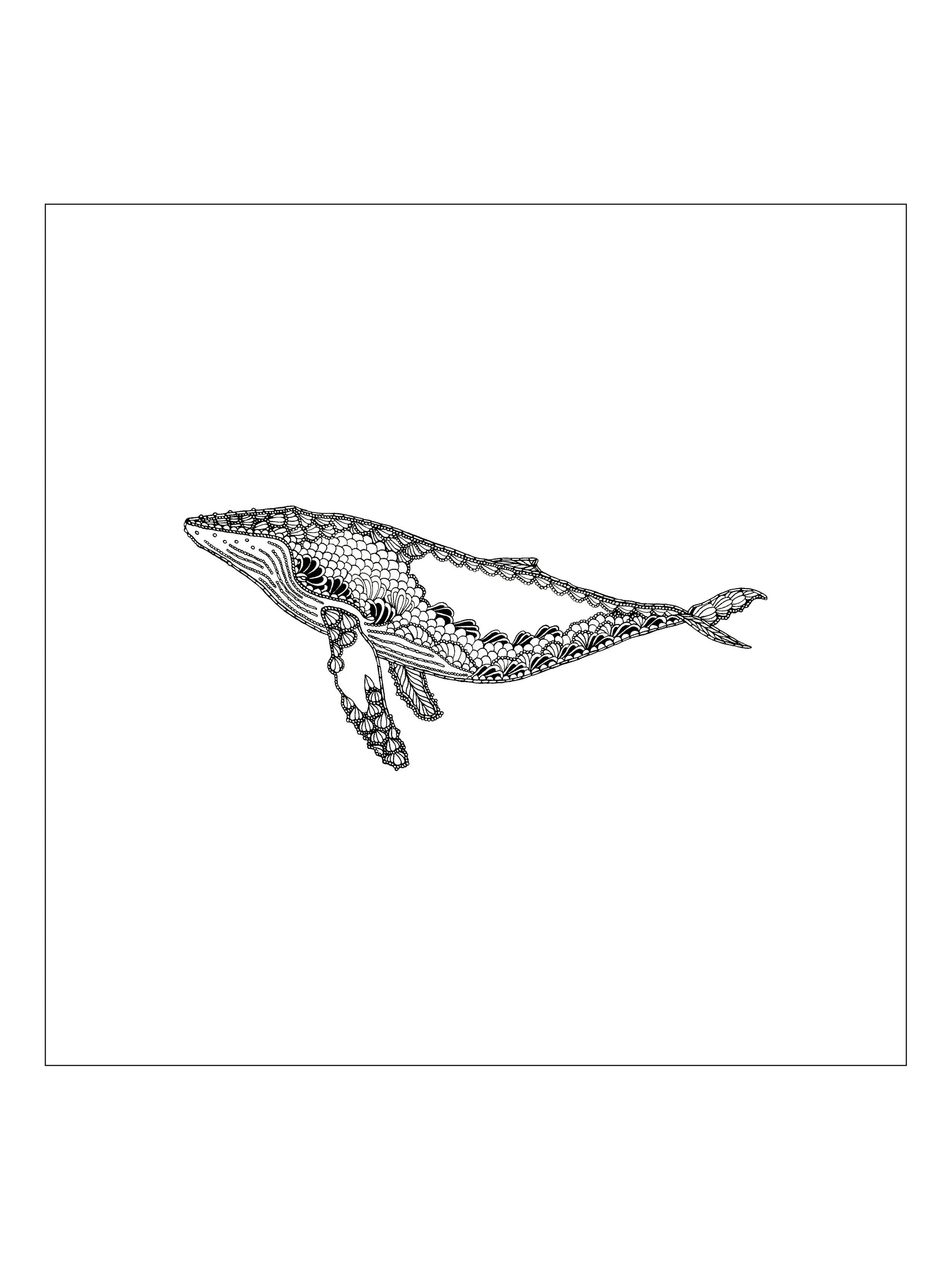 Animal Minis - Set of Prints