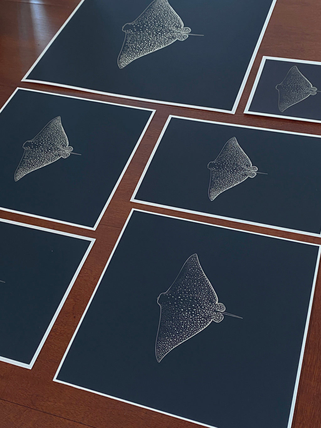Eagle Ray